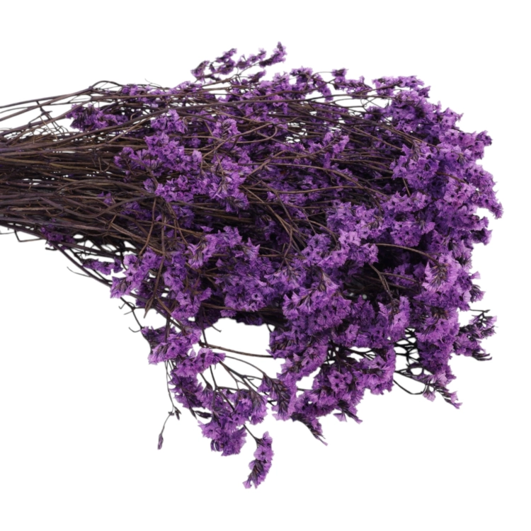 limonium-sinesis-fioletowy-3.jpg