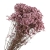 limonium-sinesis-rozowy-2.jpg
