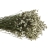 limonium-sinesis-naturalny-3.jpg