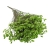 limonium-sinesis-zielony-1.jpg
