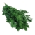 asparagus-ming-ciemna-zielen-1.jpg