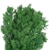 asparagus-ming-ciemna-zielen-2.jpg