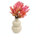 protea-repens-open-rozowa-4-720x720.png