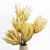 protea-repens-open-kremowa-5-2048x2048.png