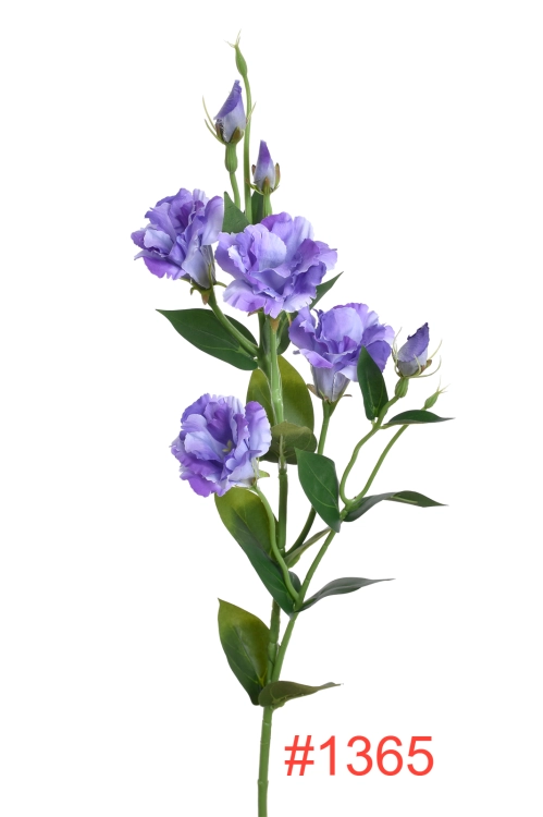 SUN345#3443#LT VIOLET DR VIOLET_m.jpg