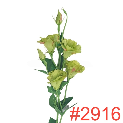 137117.jpeg