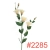 SUN3452285PEARL-PEACH_m.webp