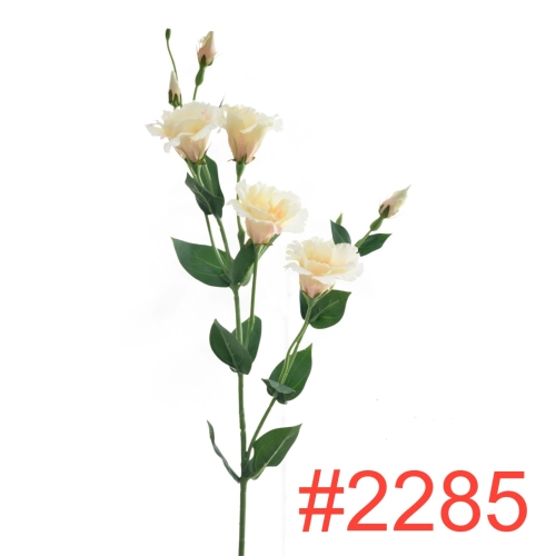 SUN3452285PEARL-PEACH_m.webp