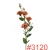 SUN3453120HONEY_m.webp