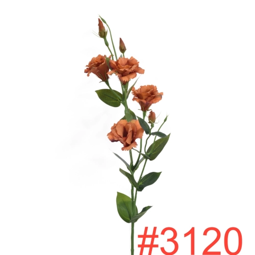 SUN3453120HONEY_m.webp