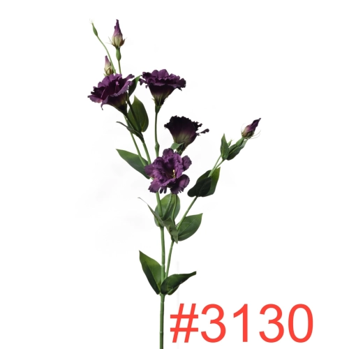 SUN3453130EGGPLANT_m.webp