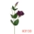 SUN3573130EGGPLANT1_m.webp