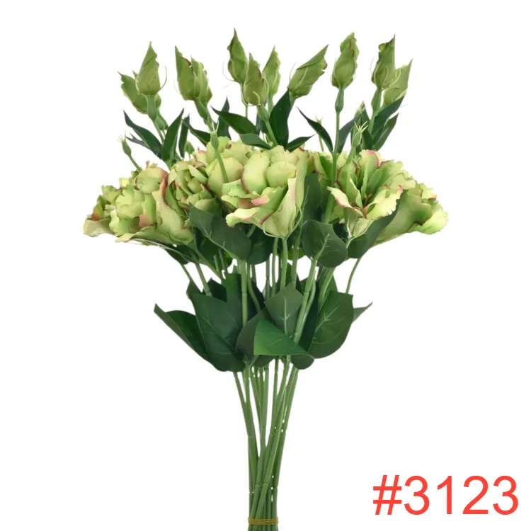SUN3573123GREEN-BURN-COFFEE2_m.webp