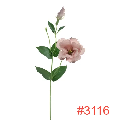SUN3573116DELICATE-BROWN1_m.webp