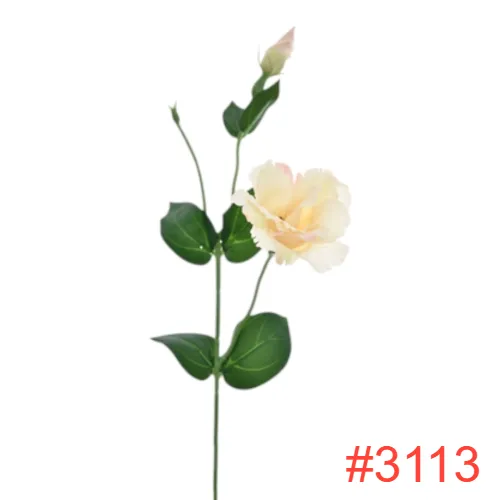 SUN3573113HALVAH1_t.webp