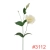 SUN3573112CREAMY-PUDDING1_t.webp