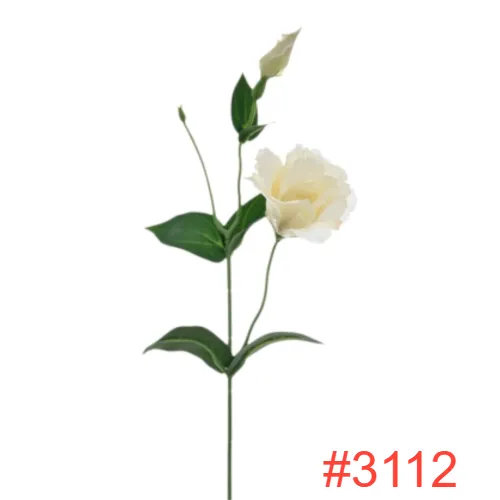 SUN3573112CREAMY-PUDDING1_t.webp