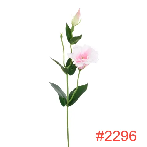 SUN3572296PEARL-PINK1_m.webp