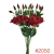 SUN3572050RED-GREEN2_m.webp