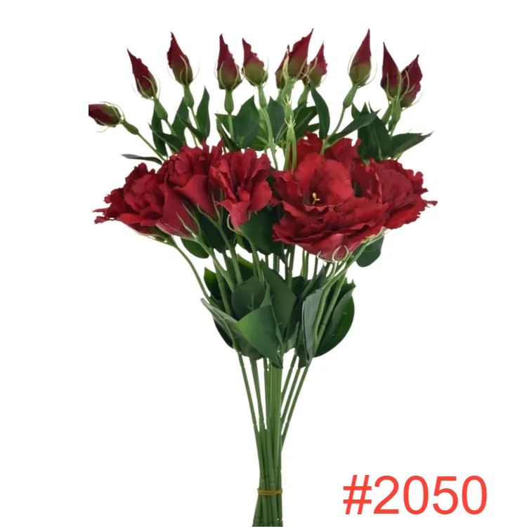 SUN3572050RED-GREEN2_m.webp