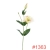 SUN3571363LT-PINK-LT-GREEN1_m.webp