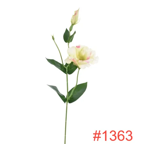 SUN3571363LT-PINK-LT-GREEN1_m.webp