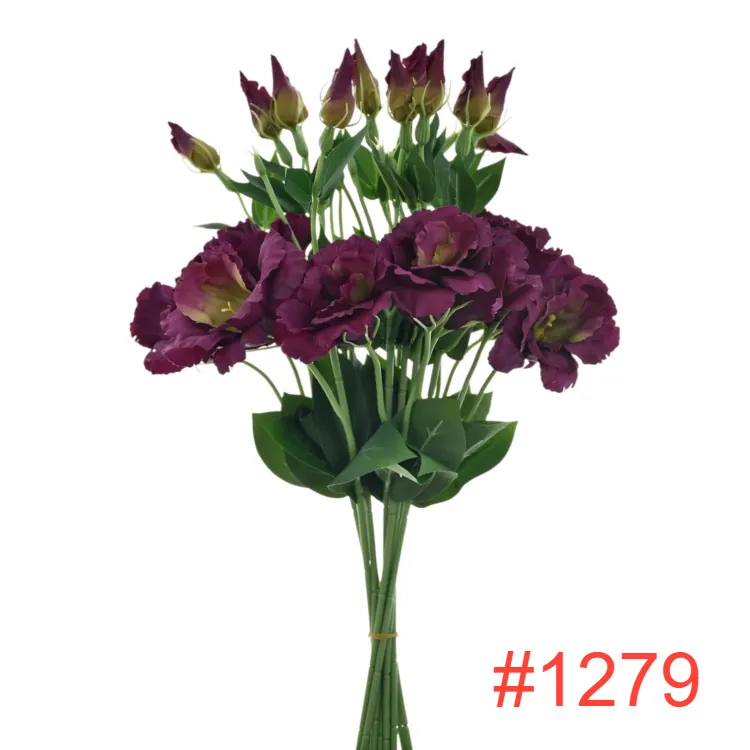 SUN3571279PURPLE-GREEN2_m.webp
