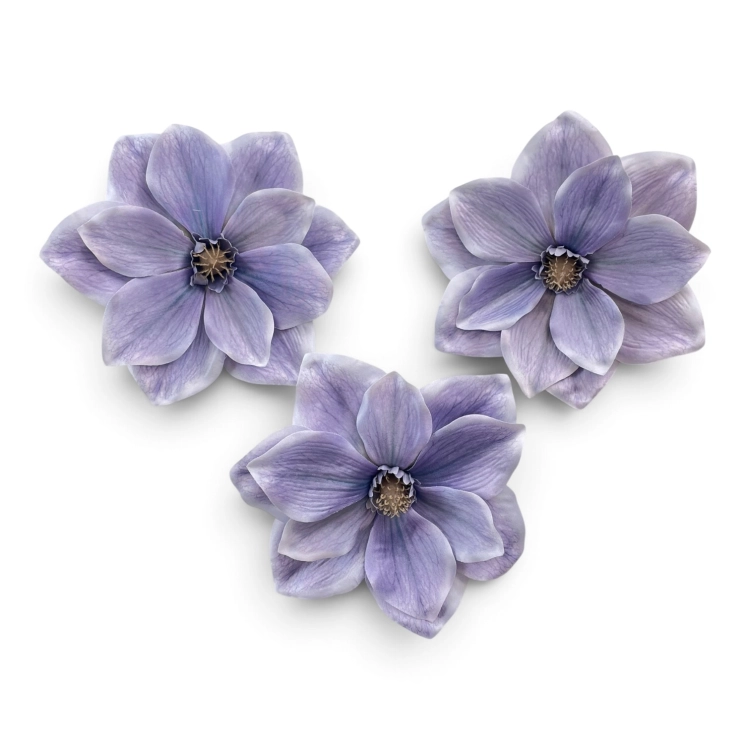 IMG_3772.jpg