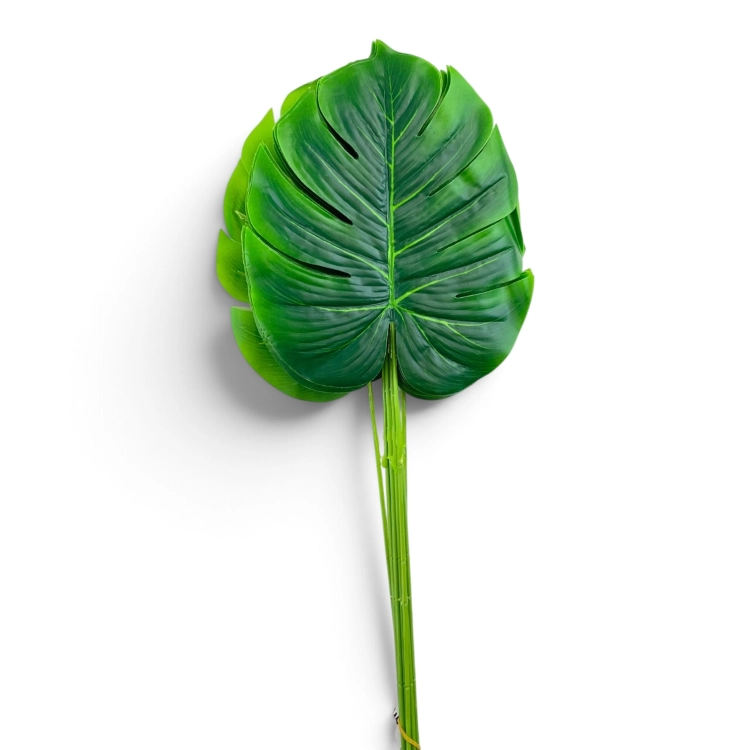IMG_3876.jpg