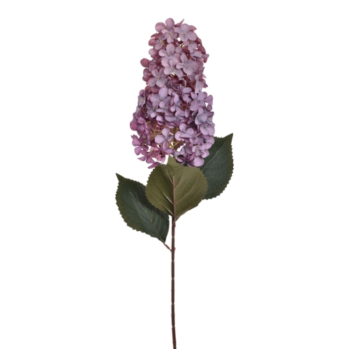 HOR8002##DIRTY VIOLET_m.jpg