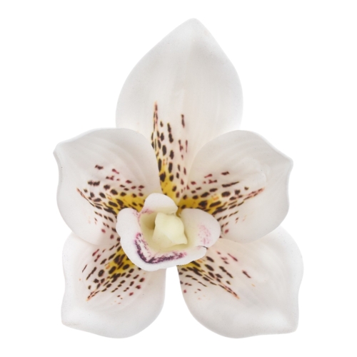 LEV017##WHITE LAMPART_m.jpg