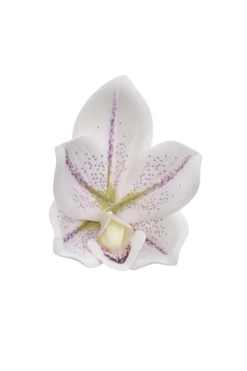 LEV017##LT LAVENDER_m.jpg