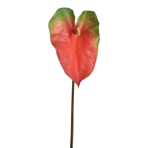 YD337##RED GREEN#1_m.jpg