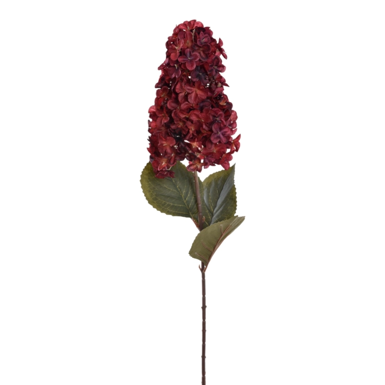 HOR8001##BURGUNDY_m.jpg