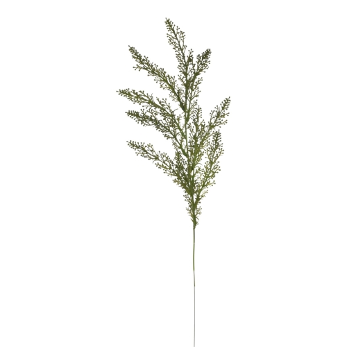 ENT1004##DR GREEN#2_m.jpg
