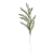 ENT1004##DR GREEN#2_m.jpg
