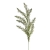 ENT1004##DR GREEN#1_m.jpg