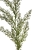 ENT1004##DR GREEN#3_m.jpg