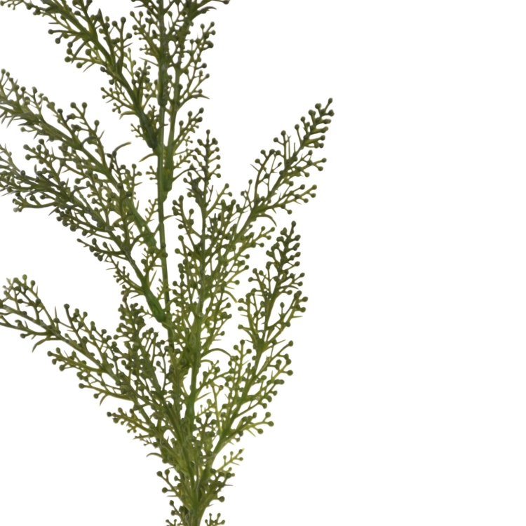 ENT1004##DR GREEN#3_m.jpg
