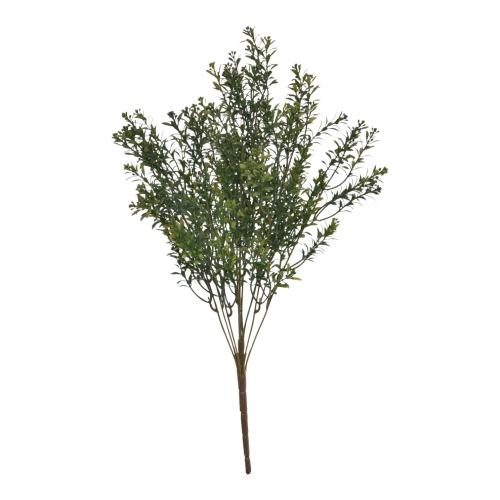 ENT1001##DR GREEN#1_m.jpg