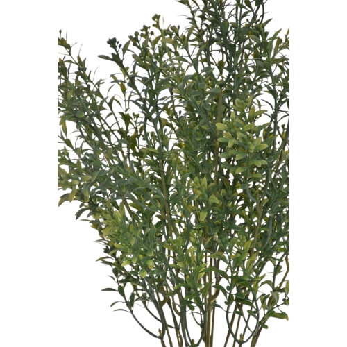 ENT1001##DR GREEN#2_m.jpg