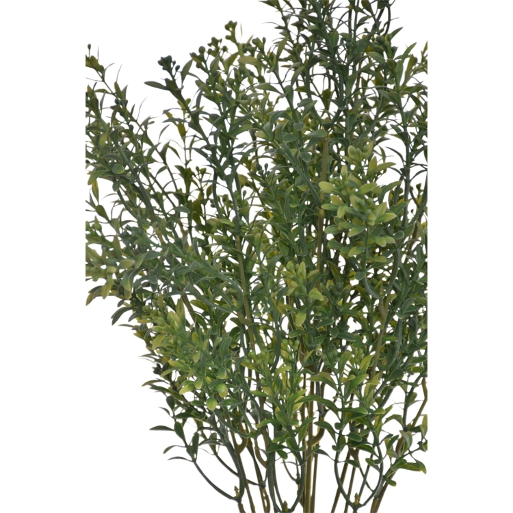 ENT1001##DR GREEN#2_m.jpg