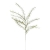 ENT1006##DR GREEN#1_m.jpg
