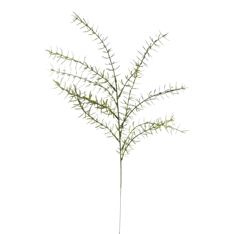 ENT1006##DR GREEN#1_m.jpg
