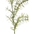ENT1006##DR GREEN#2_m.jpg