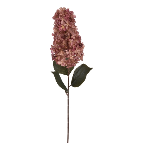 HOR8001##MAUVE_m.jpg