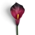 kalla gumowa 1szt aubergine yellow 92S (ANA1013)