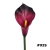pobrane (11).jfif.png