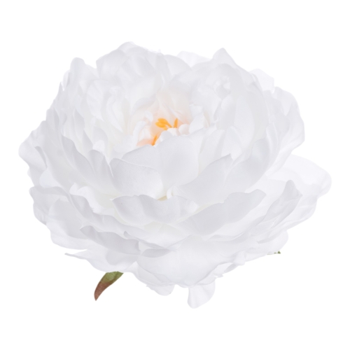 SUN406#2873#PEARL WHITE_m.jpg