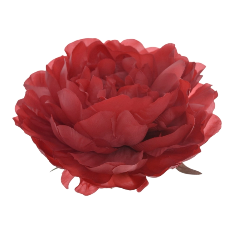 SUN406#163#RED1_m.jfif.jpg